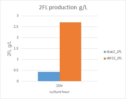 E. coli BL21(DE3) ΔlacZ와 lacZΔM15 mutants의 2′FL 생산 비교