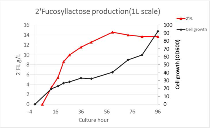 Bench-top fermentor에서 1L scale의 2′FL 생산 실험