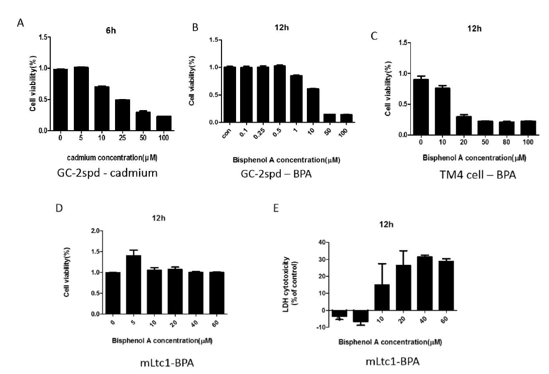 각 정소세포에 cadmium, bisphenol A 처리 후 세포 생존율 및 세포 독성 측정