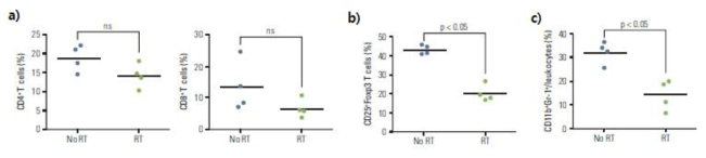 orthotopic 모델에서 방사선에 의한 종양 내 CD4, CD8 T 세포 (a), 조절 T 세포 (b), MDSC (c) 유입