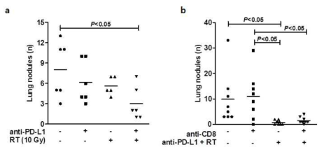 방사선과 anti-PD-L1 병합 치료에 의한 폐전이 (a)와 CD8+ T 세포 depletion 시 폐전이 (b)