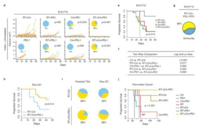 방사선과 anti-CTLA4 병합치료에 저항성이 있는 경우, PD-L1/PD-1 억제제를 병합시 항암효과 증가함