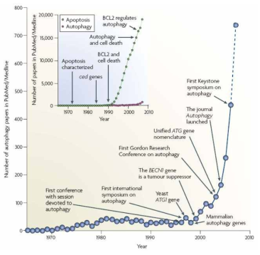 Autophagy 관련 연구논문의 기하급수적 증가 양상 (Klionsky et al. 2007)