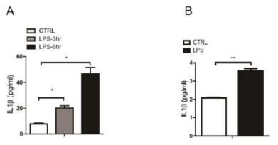 LPS 처리 후 BMDM (A) 과 Raw264.7 세포 (B)에서의 염증성 싸이토카인인 Il1b의 분비 비교