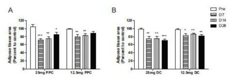 PPC DC의 지방 감소 효능의 정량화