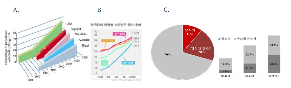 A. 주요 국가와 B. 국내의 비만인구의 증가 추이, C. 국내 당뇨병환자 통계