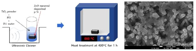PEI를 이용한 ZnO/TiO2 헤테로 나노구조체 제조 공정 모식도 및 SEM 사진