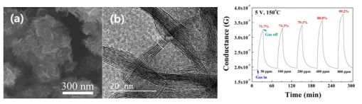 MoS2 나노입자의 SEM(a)과 TEM(b) 사진과 시간에 따른 전도도 변화 그래프