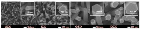 도핑물질에 따른 ZnO 나노로드 FE-SEM 사진