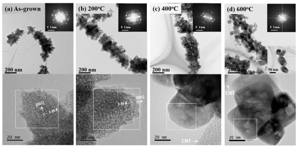 후열처리에 따른 TiO2/CNT 헤테로 나노구조체의 TEM 사진과 SAED 패턴