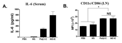 NG-IC 투여 마우스에서 혈중 IL-6 생성능력 (A) 및 림프노드 내 dendritic cell의 활성화도 (B) 분석