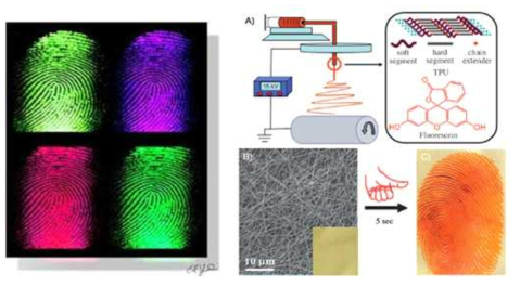 MXRF를 이용한 지문탐지 형상(좌) 및 TPU/Fluorescein 이용한 지문탐지 형상(우)