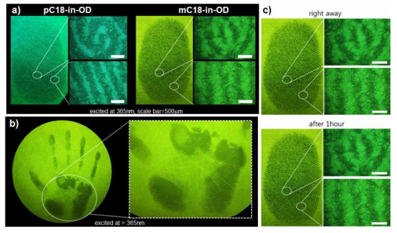a) 형광 지문 및 b)손바닥 이미징, c)지문 이미징의 등온 안정성