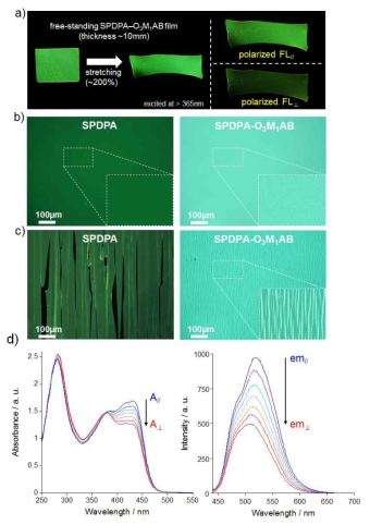 a) SPDPA‒O3M1AB필름의 늘리기 전/후 모습 및 편광 형광 방출 이미지, SPDPA-PDMS필름과 SPDPA‒O3M1AB필름의 b)늘리기 전, c)늘리고난 후의 형광 현미경 관찰 이미지, d) SPDPA‒O3M1AB필름을 2배 늘리며 측정한 편광 및 형광편광 스펙트럼