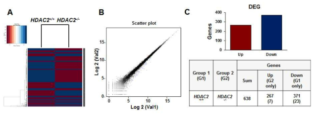 간 특이적 HDAC2 유전자 결핍 간 세포에서의 유전자 발현 변화를 RNA-sequencing을 이용하여 분석함