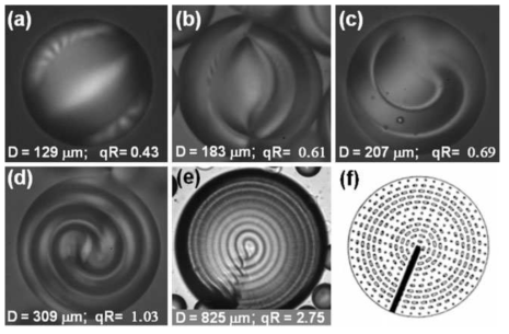 Helix power(qR)에 따른 CLC droplet의 configuration 변화.[Colloid Polym Sci (2011) 289:345–.359]