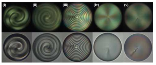Bright-field images of the CLC droplets stabilized with PVA (1 wt%) at φ (concentration of chiral dopant) = (i) 0.8, (ii) 1, (iii) 2, (iv) 5, and (v) 10 wt% observed through transmittance mode (above) under crossed polarizers and (below) without polarizers