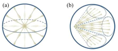 Models of (a) the CLCPVA and (b) CLCSDS droplets representing the parallel(planar) and perpendicular(homeotropic) anchoring at the droplet surface