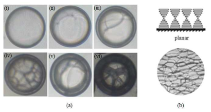 (a) Bright-field images of the CLC shells stabilized with PVA (1 wt%) at shell thickness of (i) 8, (ii) 16, (iii) 25, (iv) 45, (v) 64, and (vi) 88 μm, (b) Mesogenic planar orientation of cholesteric phase and corresponding texture