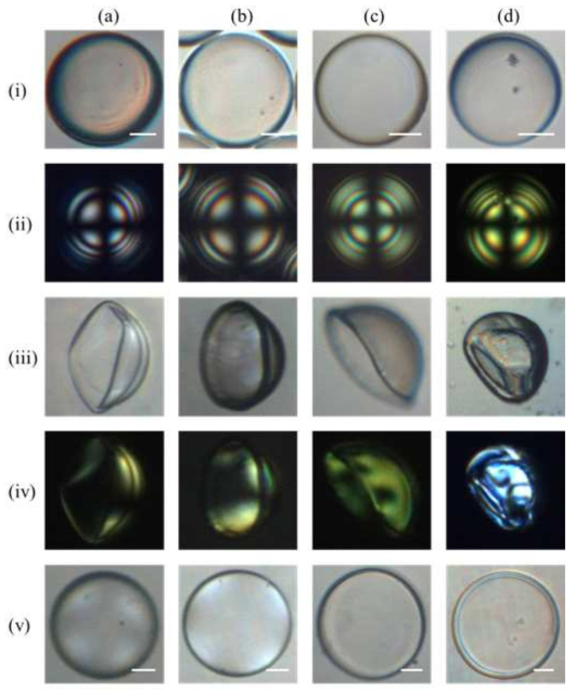 POM images ((i, iii, v) without polarizers and (ii, iv, vi) under crossed polarizers) of the NLCh shells at ϕ = (a) 20, (b) 40, (c) 60, and (d) 80 wt%. Conditions are (i, ii) immediately after fabrication in the glycerol/water mixture at jfloat; (iii, iv) after annealing for 1 h, UV curing, 5CB-extraction in acetone, and drying in air; and (v, vi) after placing the dried droplets of (iii, iv) in pyridine. Homeotropic anchoring was obtained by coating with SDS/TWEEN80 (1/1 w/w) aqueous solution (2 wt%). The scale bars represent 50 mm and are applied to all figures