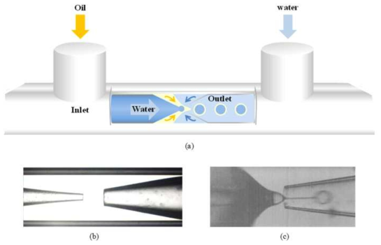 (a) Schematic of a capillary microfluidic device that combines co-flow and flow focusing and the real photo images of the used capillary microfluidic devices (b) without and (c) with fluids