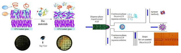(왼쪽) 액정 블락공중합체를 이용한 바이오센서 개념도. 바이오 물질과 Resposive Block (RB)과 complex 에 의해서 Transducer Block(TB) 인 LCP 의 conformation 이 바뀌고 이로 인해 anchoring 한 액정 모너머의 배향이 바뀜. 아래의 TEM grid 는 Homeotropic 배향 및 Planar 배향의 편광현미경 사진, (오른쪽) MF를 이용한 액정 droplet 제조 과정, (inset) 실제 본 실험실에서 시험한 MF 채널 및 제조한 액정 droplet 사진