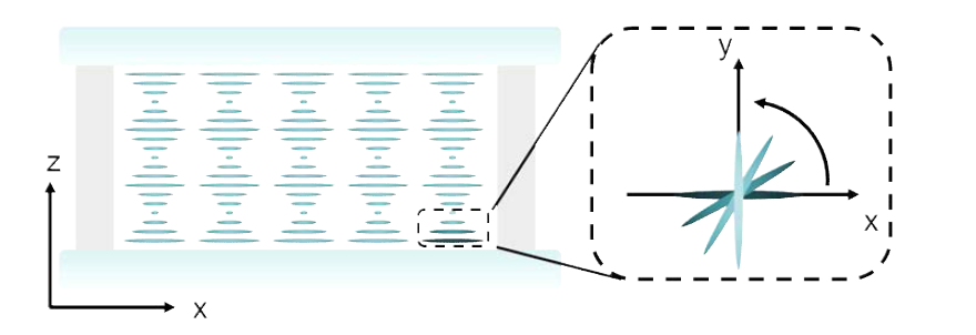 LC molecules arrangement through the cell