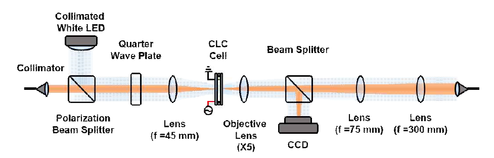 Experimental setup