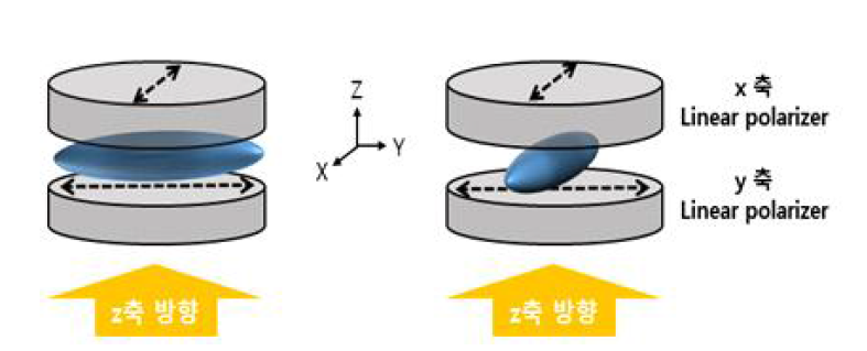 편광 방향이 서로 수직인 선형 편광기 사이의 액정 분자
