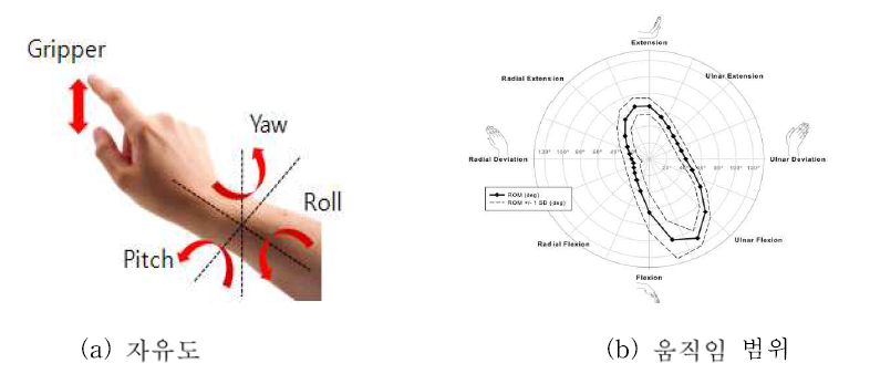 인간 손 및 손목의 자유도와 움직임 범위