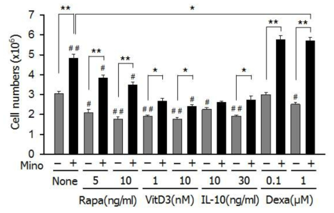 Minocycline을 단독 또는 기존 면역관용 수지상세포 생산 유도물질 (rapamycin, vitamine D3, IL-10, dexamethasone)과의 병용이 수지상세포의 생산에 미치는 영향