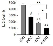 Minocycline을 단독 또는 dexamethasone과 병용하여 생산한 면역관용 수지상세포의 MHC class II 분자를 통한 외부항원 제시능