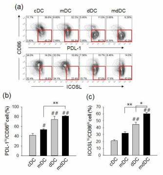 Minocycline을 단독 또는 dexamethasone 과 병용하여 생산한 면역관용 수지상세포의 PDL-1, PDL-2, CD86 분자 발현