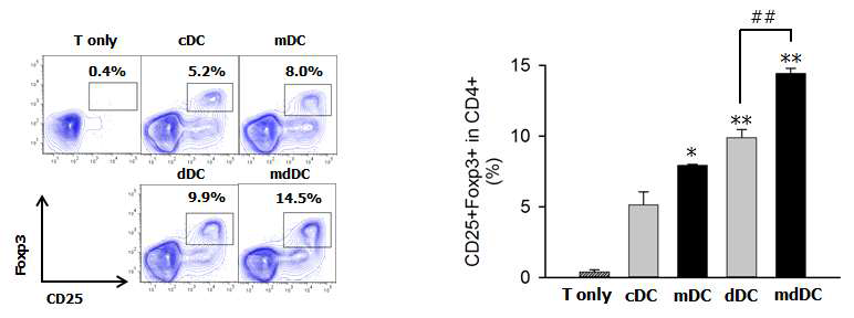 MLR 모델에서 각 면역관용 수지상세포의 CD4+CD25- T cell로부터 CD4+CD25+Foxp3+ Treg 생산 촉진능