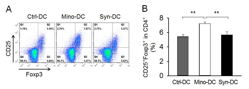 Allogeneic immunization 모델에서 Mino-DC의 Treg 생산 촉진능
