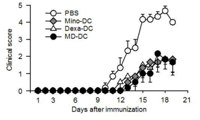 MOG35-55 peptide-pulsed tolerogenic DC의 EAE 발생억제 효능