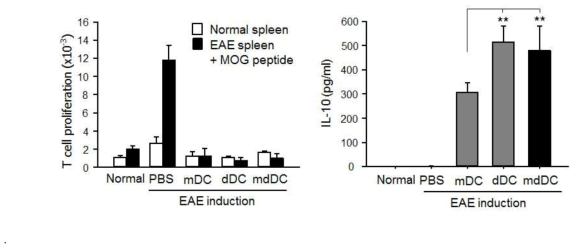 EAE가 유발된 생쥐 비장 T cell의 MOG35-55 peptide-pulsed tolerogenic DC의 자극에 대한 반응성 (증식능 및 IL-10 생성능)