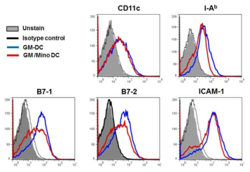 생체 내에서 생성시킨 Mino-DC와 Ctrl-DC의 세포 표현형 비교