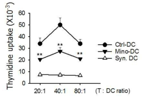 Minocycline을 이용하여 생산한 수지상세포의 생체 내 allo-priming 효능