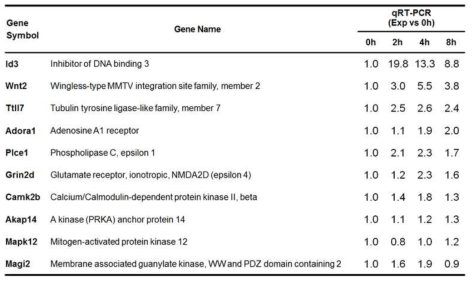 qRT-PCR 결과 minocycline 처리 시간 동안에 지속적으로 높게 발현이 증가된 유전자