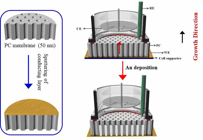 전기도금법 및 polycarbonate membrane를 이용한 3D 나노 구조체 제작 방법