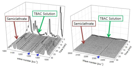 TBAC 세미 클러스레이트 형성과정의 in-situ Raman 측정