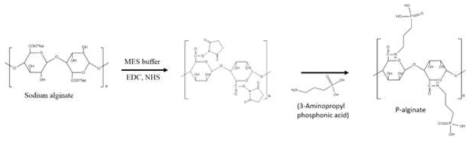 알긴산 유도체의 제조과정