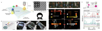 초소수성 표면 및 물방울 제어 및 분석 시스템