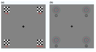 실험에 사용된 SSVEP 시각 자극 예시: (a) checkerboard stimuli, (b) chromatic stimuli