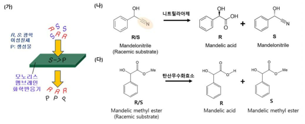 모노리스 멤브레인 화학반응기를 이용하여 키랄 화합물 분리 방법. (가) 한 가지 이성질체에 선택적으로 반응하여 분리 가능한 새로운 물질로 전환하는 방법, (나) 니트릴라아제에 의한 mandelonitrile의 키랄 분리 반응, (다) 탄산무수화효소에 의한 mandelic methyl ester의 키랄 분리 반응