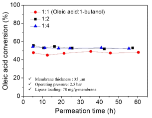 동일한 압력 하에서 Oleic acid와 1-butanol의 상대적인 양에 따른 에스테르화 반응의 전환율. 수십시간 이상의 장시간 동안 안정적인 전환율을 보이며 특정 비율 이상에서는 전환율이 비슷하게 유지되었다