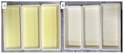 GDC20 sample(A: calcination 전, B: calcination 후)