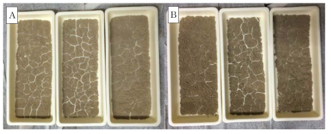 before exsolution sample(A: bef.EX_Ni011, B: bef.EX_Ni012)