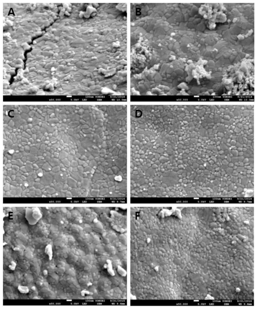 SEM 이미지(A: IMP_Ni011, B: IMP_Ni012, C: bef.EX_Ni011, D: bef.EX_Ni012, E: EX_Ni011, F: EX_Ni012)